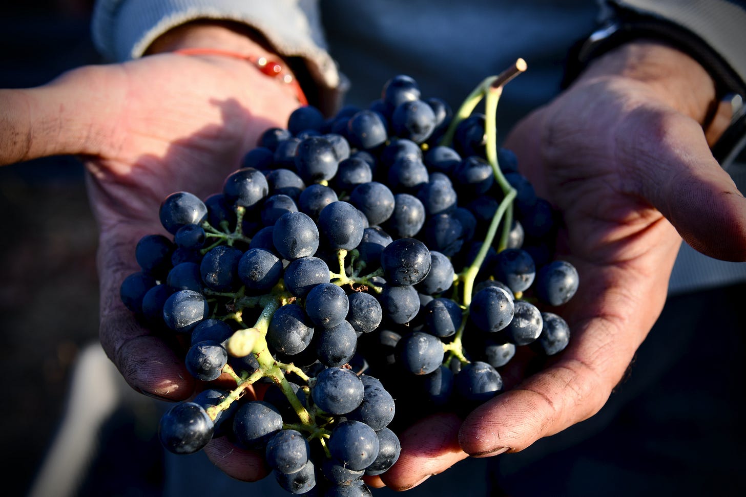 Apparently, Jesus was quite the winemaker. Apparently, Jesus was quite the winemaker.