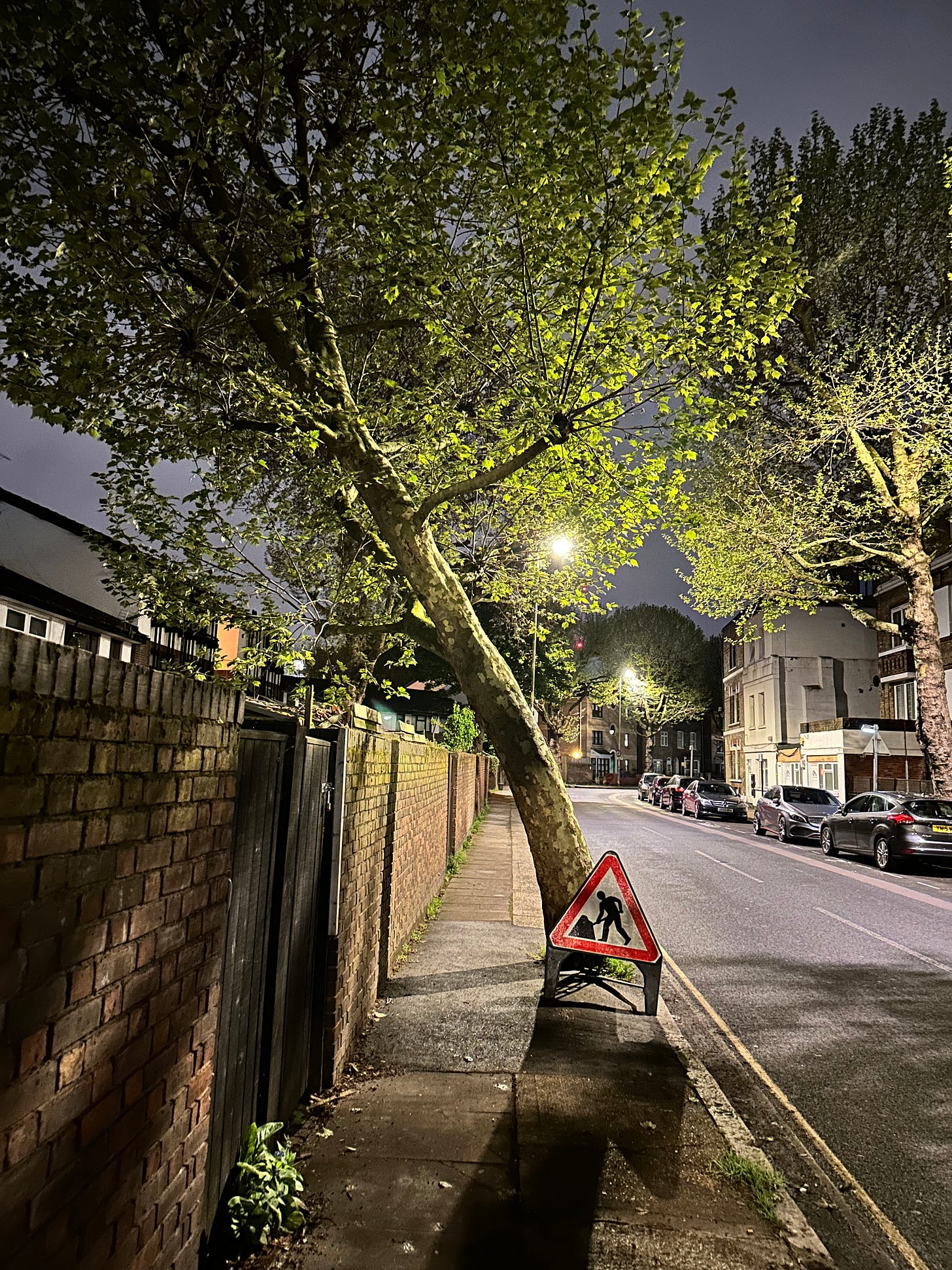 A photo of my leaning tree again. Tonight the tree's branches are still full of fresh green leaves.There is no traffic, but this time there is a Men At Work road sign leaning against the tree. Something is being dug up around here out of frame.