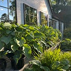 Another Year with Hostas and Other Garden Affairs