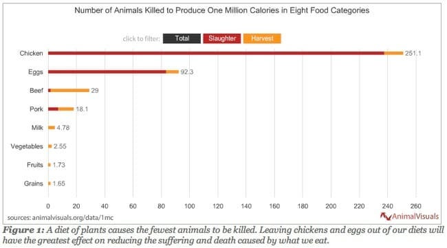animalvisuals_diagram