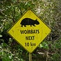 Wombat Safari's avatar