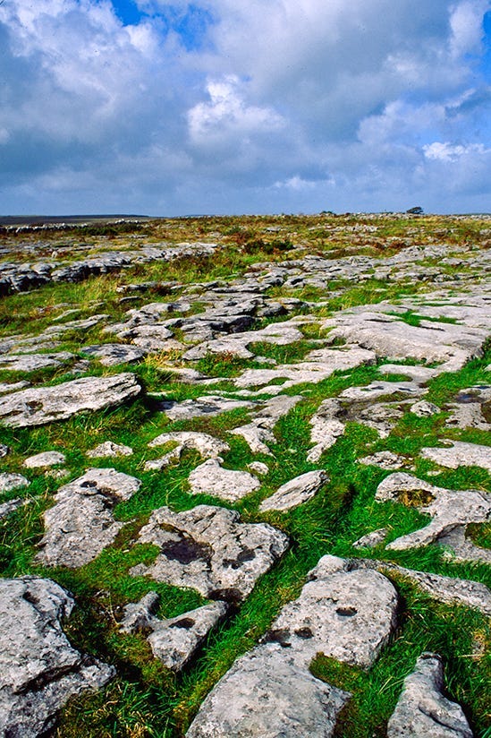A photograph of and area in County Clare, Ireland known as the Burren.