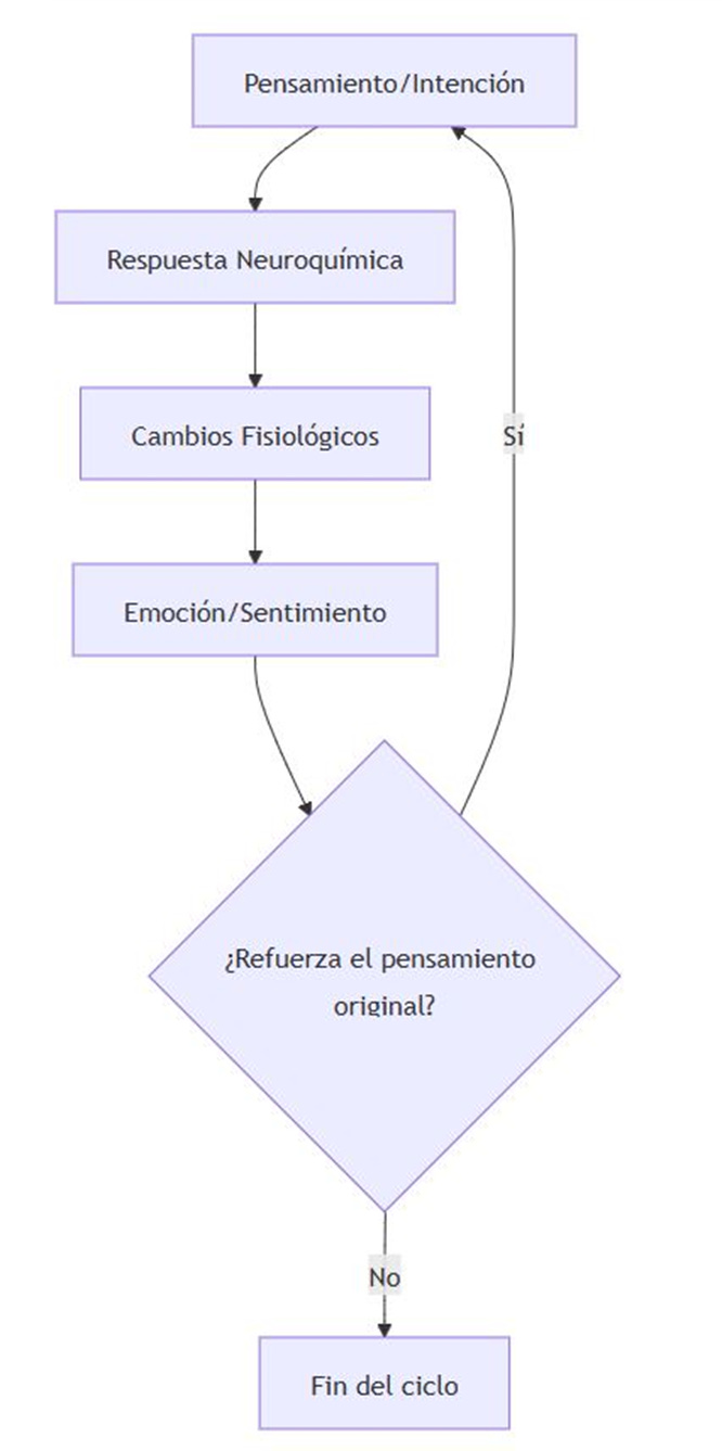 Modelos y estrategias efectivas durante la gestión del cambio  organizacional | Mon HR, image size:666x1337