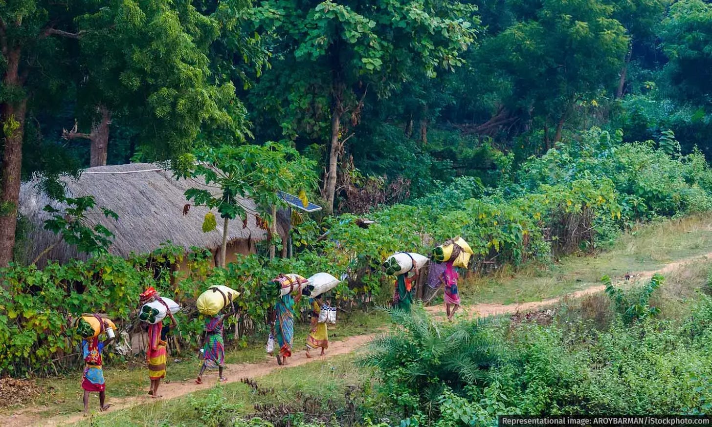 What’s Ailing India’s Green Credit Programme?