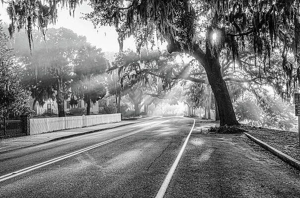 Scott Hansen - Official Website Scott Hansen - Official Website