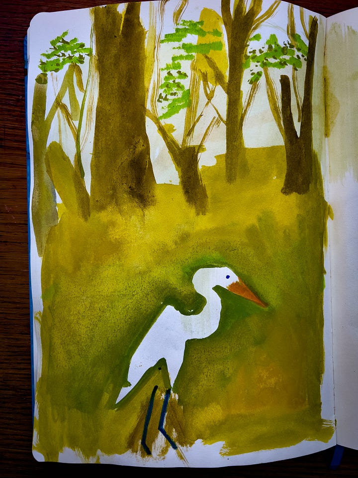 open sketchbooks with trees and forest illustrations by Beth Spencer