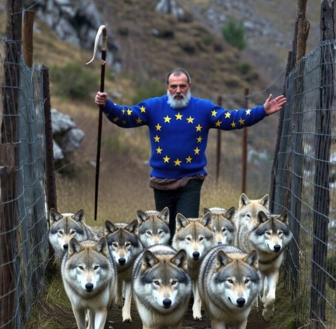 bomenenbos.substack.com