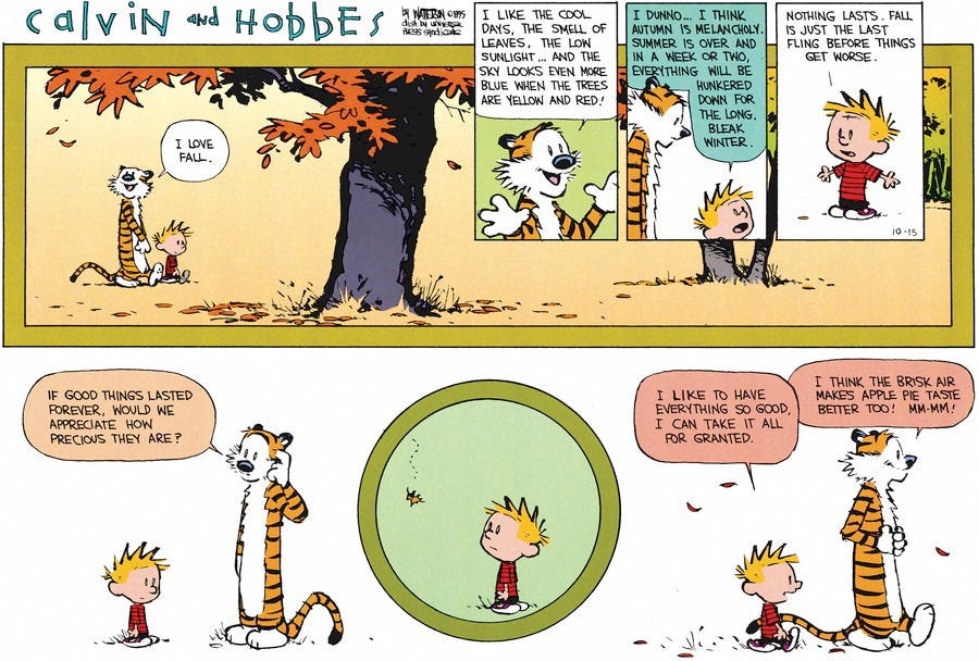 Calvin and Hobbes by Bill Watterson for October 15, 1995 | GoComics