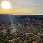 The Incredible Biodiversity of the Lone Star State