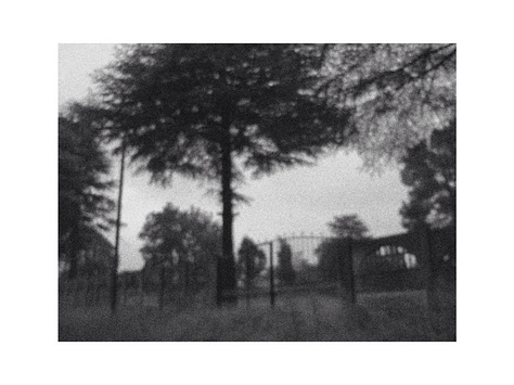 Photos taken using a Kodak M531 compact camera.