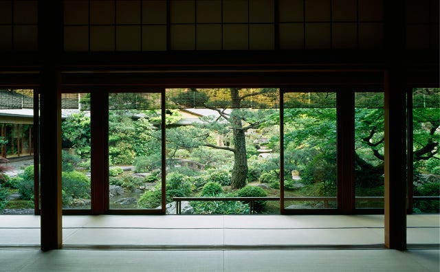 A room with a view of the forest

Description automatically generated