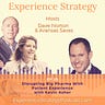 The Experience Strategist