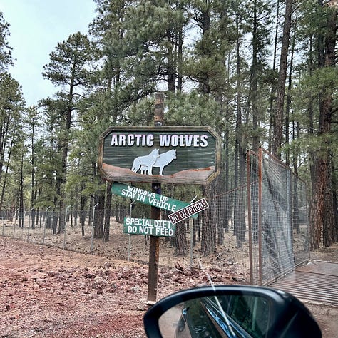 trail. wolves, reindeer, bison, bears