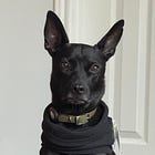 如何成為新時代的文盲