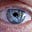 David Morley's avatar