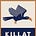 Killat’s Substack