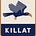 Killat Collective's avatar