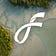 The FreeNZ Editorial