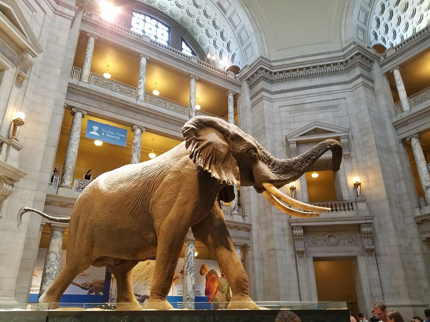 The Ultimate Guide to the Smithsonian Museums | Daycation DC The Ultimate Guide to the Smithsonian Museums | Daycation DC