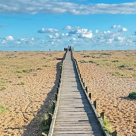 The Incredible Dungeness Wildlife Reserve - Part 1