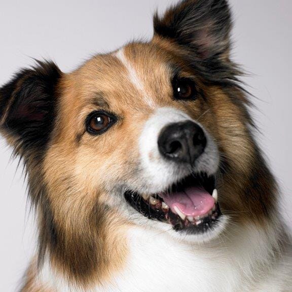 gettin' jakie with it