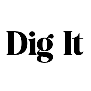 Artwork for Dig It