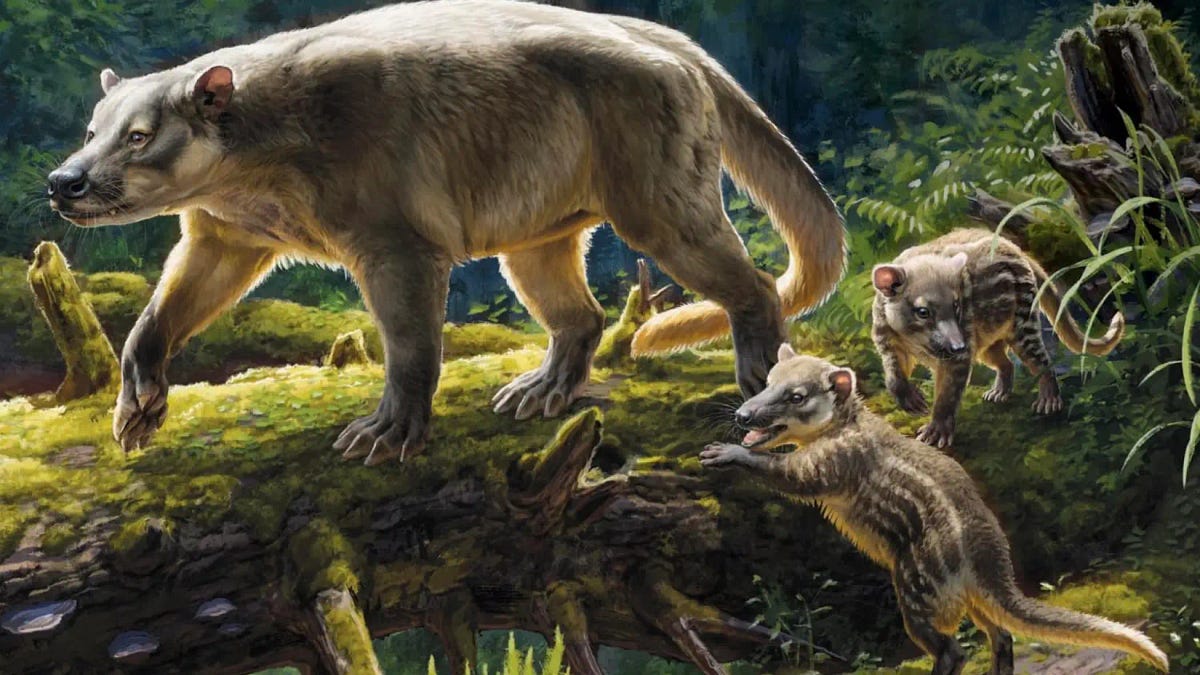 Ever-Changing History - by Newt Gingrich - Gingrich 360