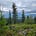 North Fork Park's avatar