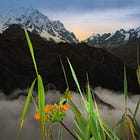 A Chilean Wine Story - From Grand Marnier to Vineyards