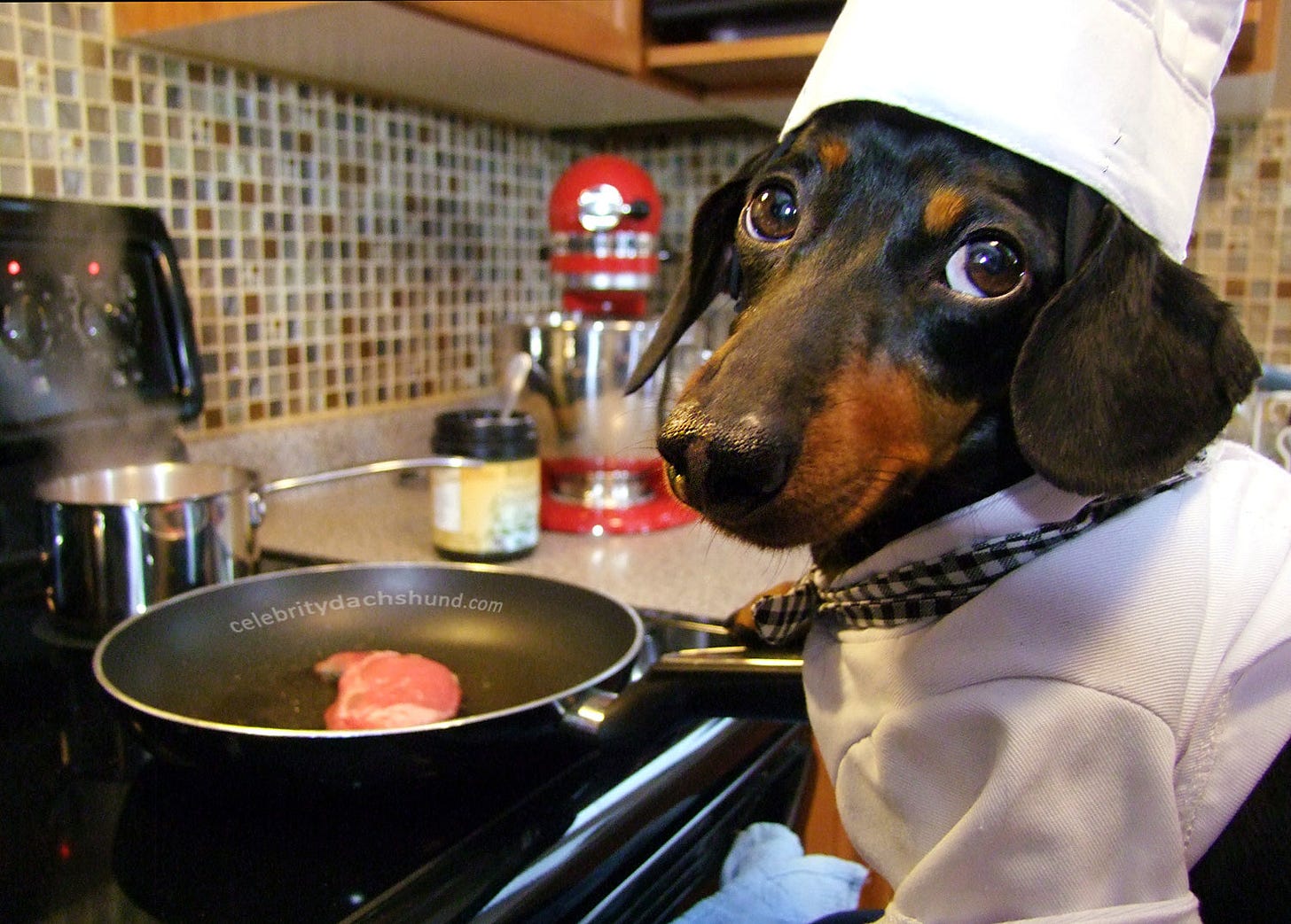 Cooking with Crusoe: Steak & Sweet Potatoes Cooking with Crusoe: Steak & Sweet Potatoes