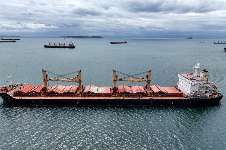 FILE PHOTO: Amfitriti, a bulk carrier part of the Black Sea grain deal, and other commercial vessels wait to pass the Bosphorus strait off the shores of Yenikapi in Istanbul