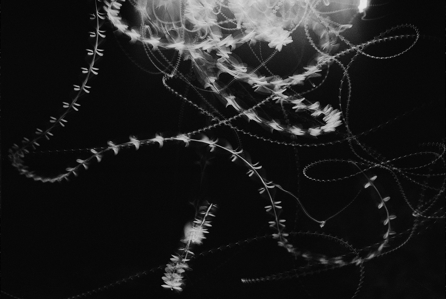 A close-up of a light

Description automatically generated