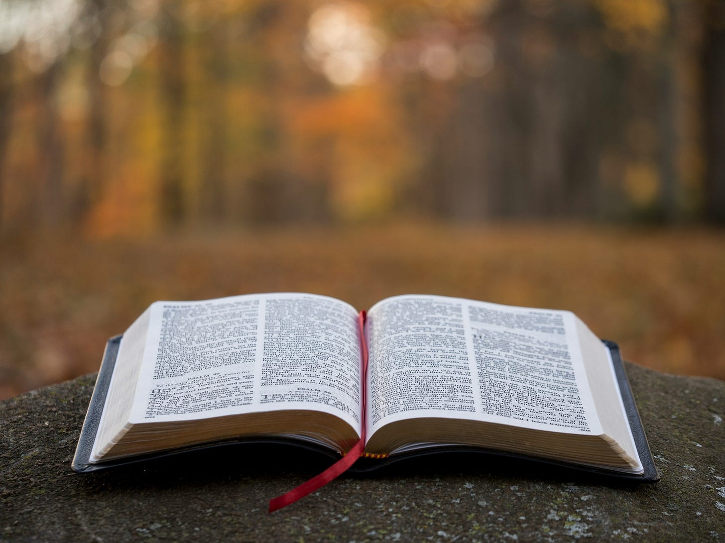 Why Apologetics