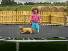 a little girl is jumping on a trampoline with a cat a little girl is jumping on a trampoline with a cat