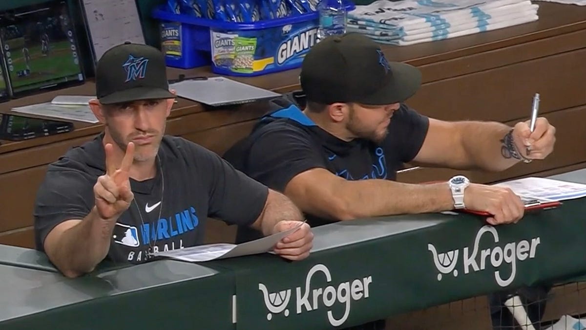 The call is coming from inside the dugout - by Zach Crizer