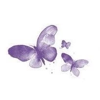 A Light in the Attic