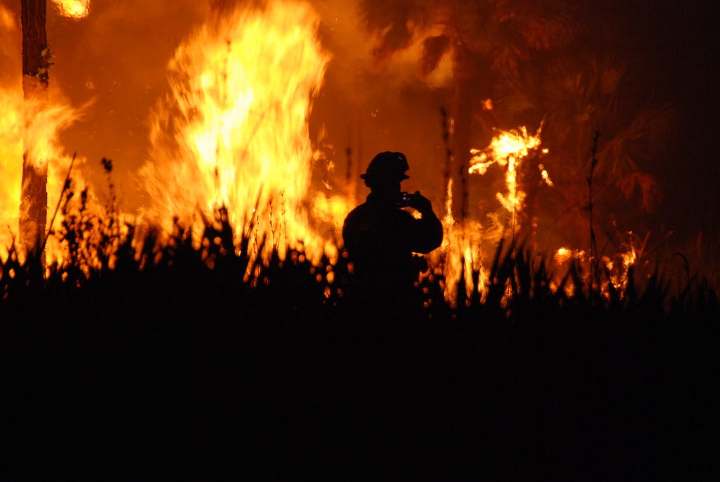 Wildfire