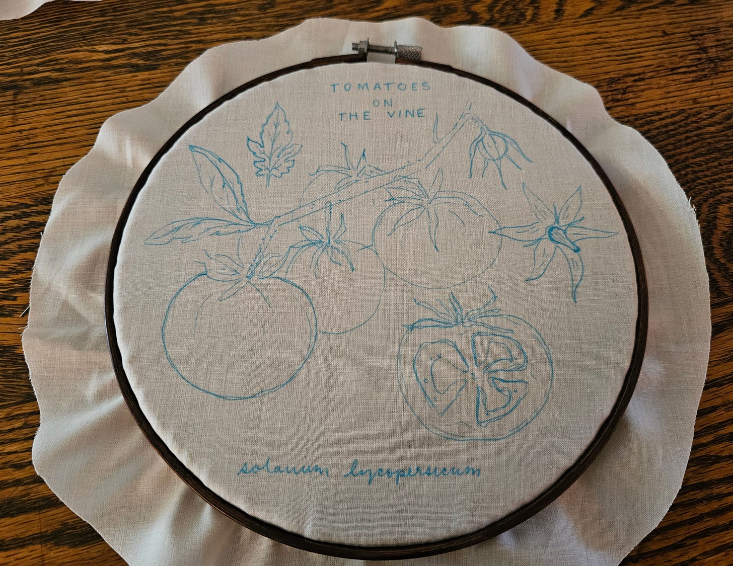 white fabric framed in an embroidery hoop with tomatoes on the vine drawn in light blue ink white fabric framed in an embroidery hoop with tomatoes on the vine drawn in light blue ink