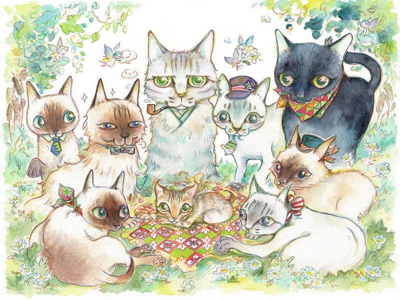 FSc's cat portrait FSc's cat portrait