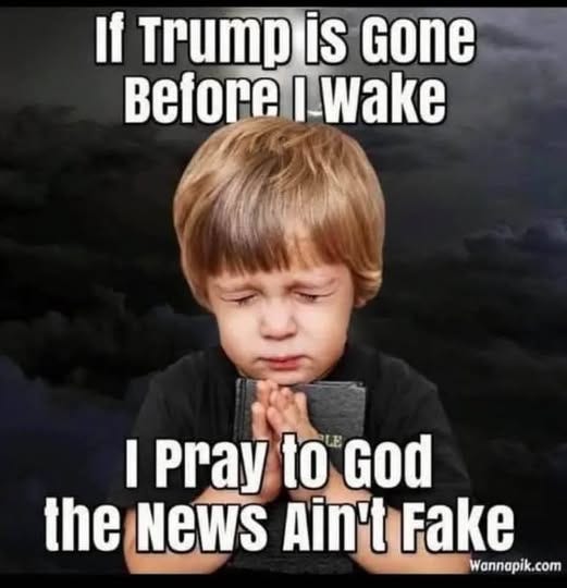 May be an image of 1 person and text that says 'If Trump is Gone Before I-Wake I Pray to God the NeWS Ain't Fake Wannapik.com'
