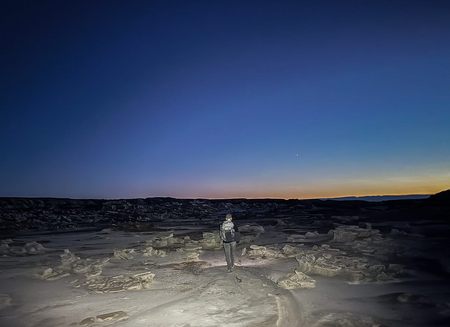 Close-up of a Plateau Side-blotched Lizard lying on sandy ground in the Bisti/De-Na-Zin Wilderness, its orange and tan scales blending with the desert floor.