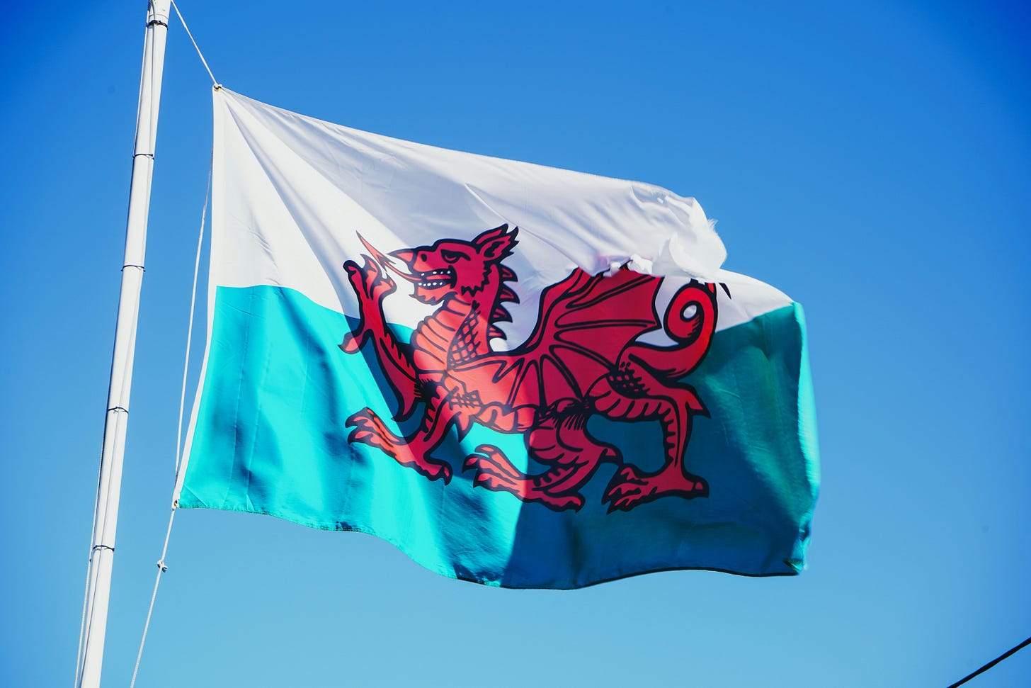 The Welsh flag featuring a green and white background with a red dragon in the middle facing left