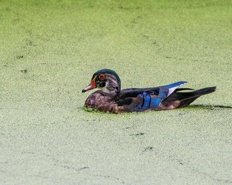 20250918-Sweetwater-40-Edit 2.jpg 20250918-Sweetwater-40-Edit 2.jpg