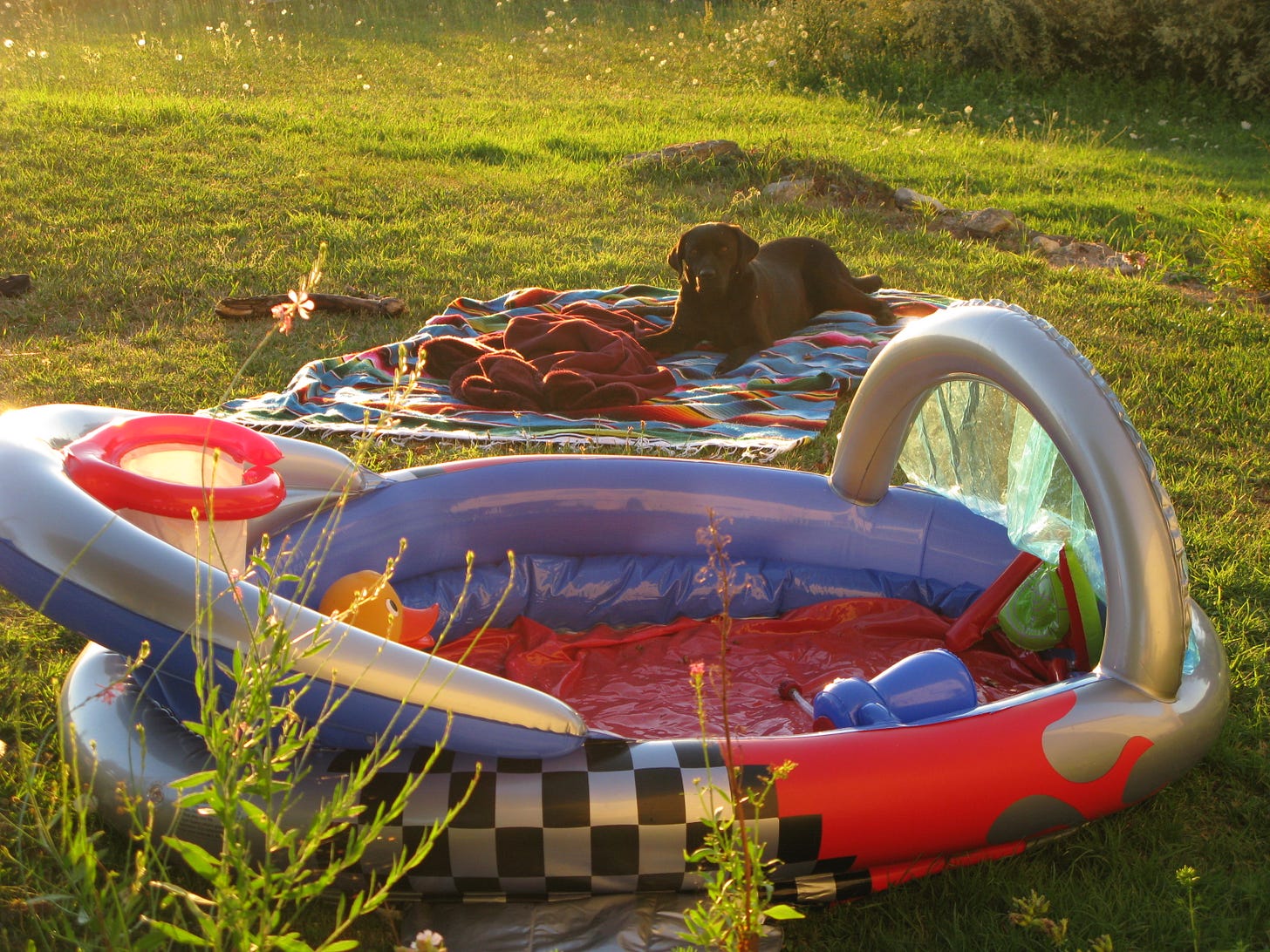 Inflatable spaceship ball pen and a black labrador lying on a stripey blanket in a garden