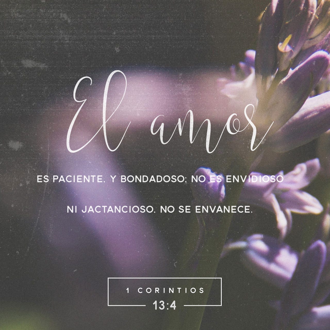 Versículos sobre el Amor de Dios Versículos sobre el Amor de Dios