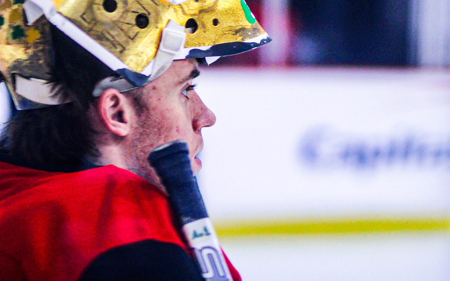 Washington Capitals Washington Capitals