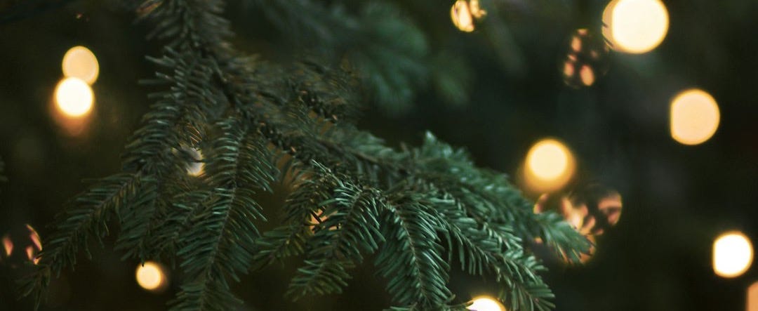 green christmas tree with string lights