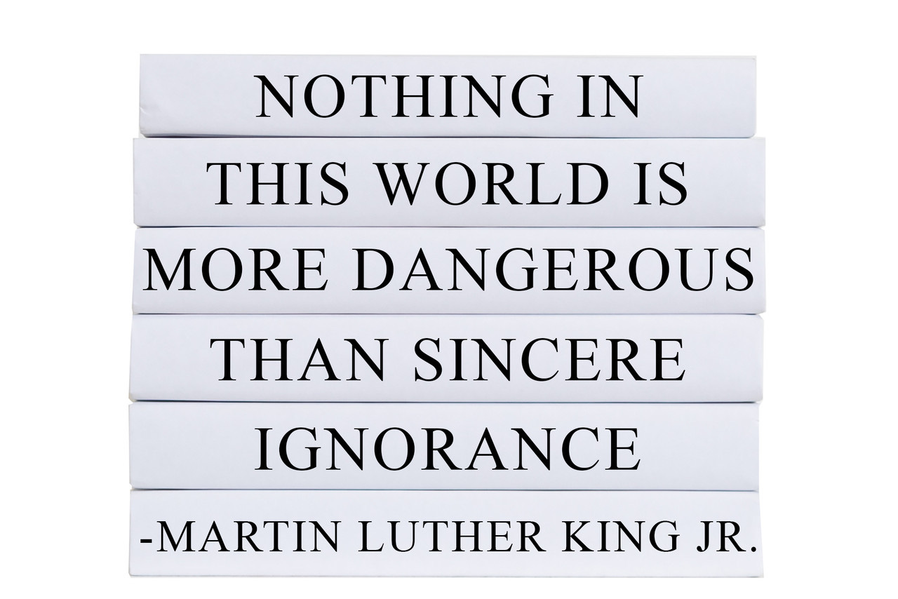 Dangerous Ignorance Quote Book Stack, S/6