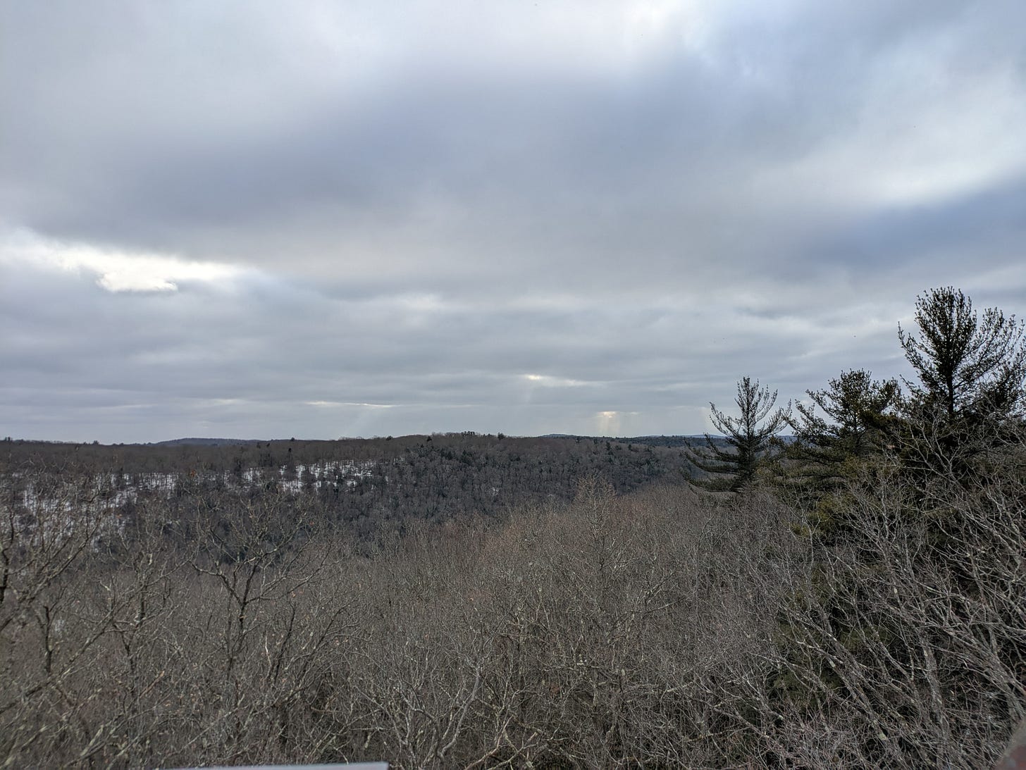 A landscape view from Old Fire Tower #9. Eastern Hemlocks peak over the treeline.