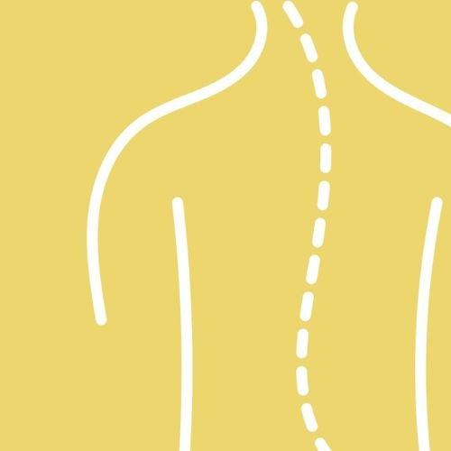 VagusNerve_1 VagusNerve_1